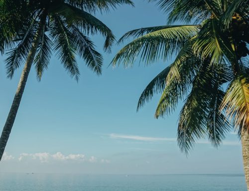 Summer Solstice… With Savings! | Wealth Planning Update
