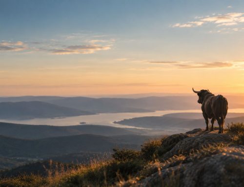 This Bull Enters Middle-Age – Fit & Rested | Strategy Update